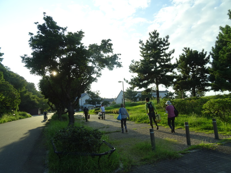 「ウミホタルウオッチング」 in せんなん里海公園潮騒ビバレー前砂浜_c0108460_22323398.jpg