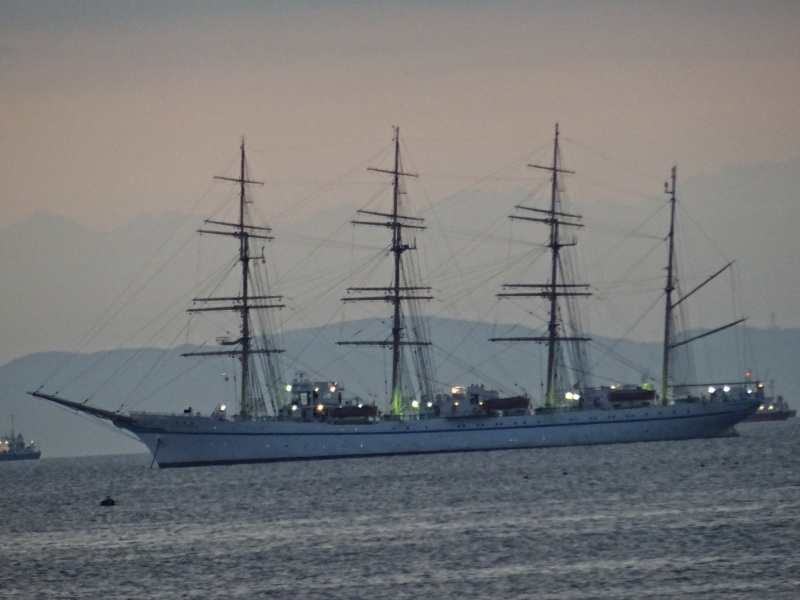 「ウミホタルウオッチング」 in せんなん里海公園潮騒ビバレー前砂浜_c0108460_22371019.jpg