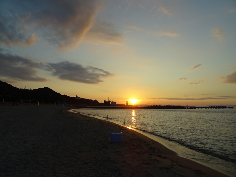 「ウミホタルウオッチング」 in せんなん里海公園潮騒ビバレー前砂浜_c0108460_22371037.jpg