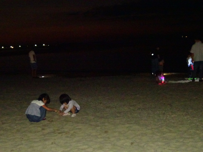 「ウミホタルウオッチング」 in せんなん里海公園潮騒ビバレー前砂浜_c0108460_22463374.jpg