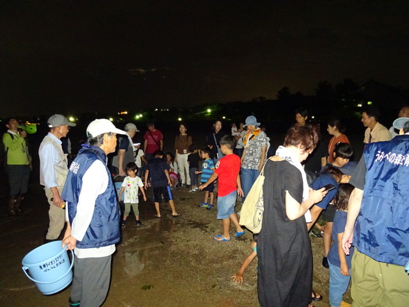 「ウミホタルウオッチング」 in せんなん里海公園潮騒ビバレー前砂浜_c0108460_22533328.jpg