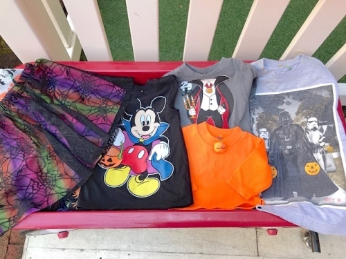 a0241962_15545129.jpeg