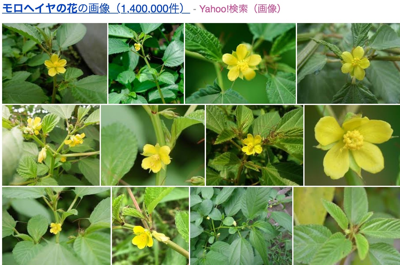 a0053063_17323084.jpeg