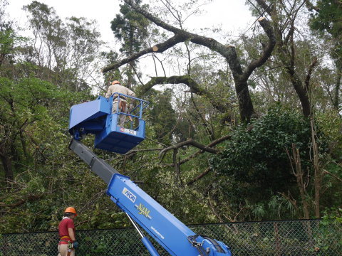 【台風15号の六国見山被害詳報】⑤まずは赤道（農道）塞ぐ倒木処理9.11_c0014967_18254429.jpg