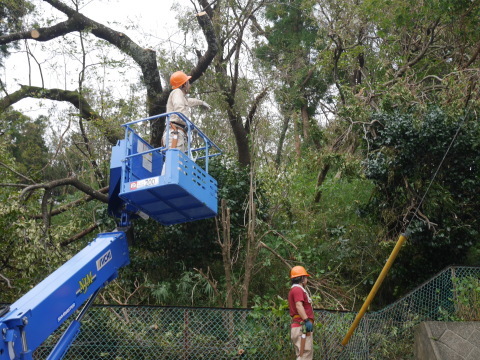 【台風15号の六国見山被害詳報】⑤まずは赤道（農道）塞ぐ倒木処理9.11_c0014967_18261670.jpg