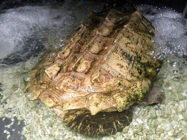 c0105569_00372529.jpg