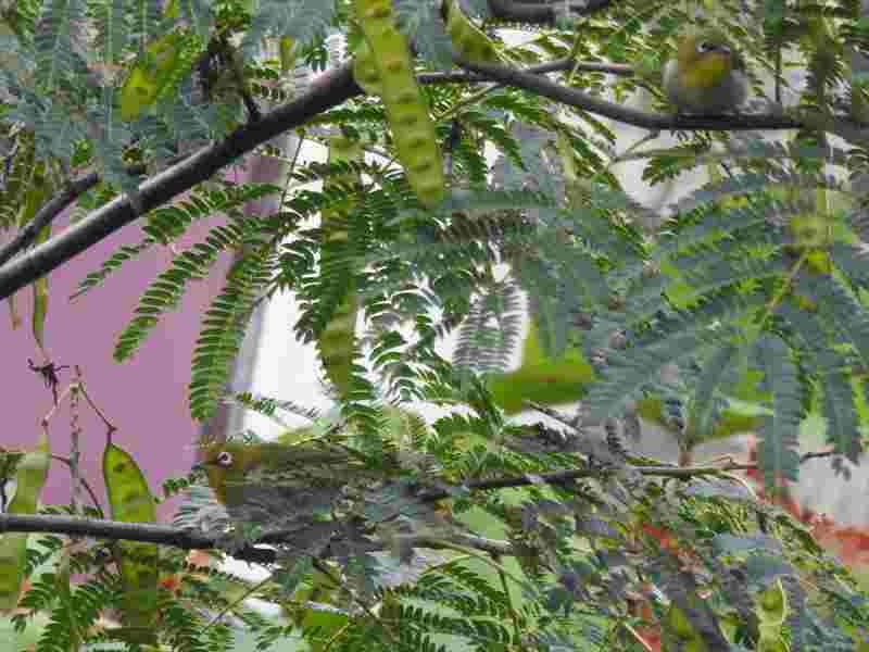 d0391670_22012764.jpg