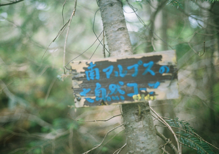 e0307372_22031527.jpg