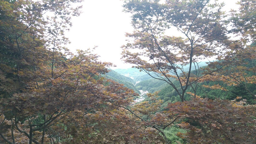 a0108380_19433446.jpg
