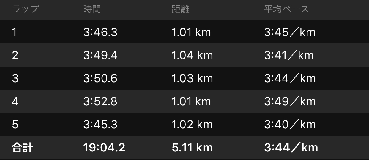 ペース走に再挑戦_f0310282_16273650.jpeg