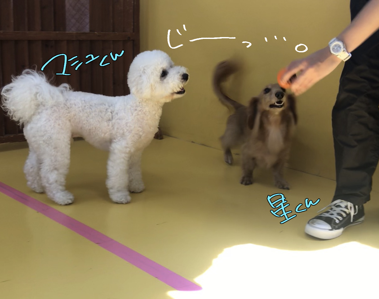 なかよしこよし♪_f0357682_23005890.jpg