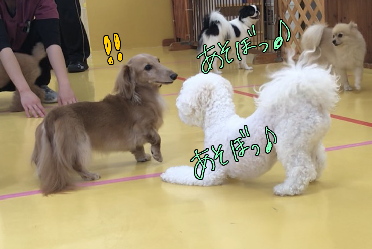 なかよしこよし♪_f0357682_23015134.jpg