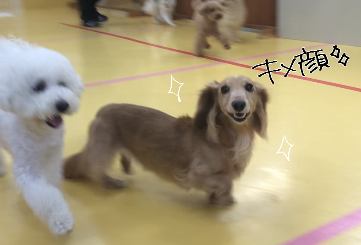 なかよしこよし♪_f0357682_23054654.jpg