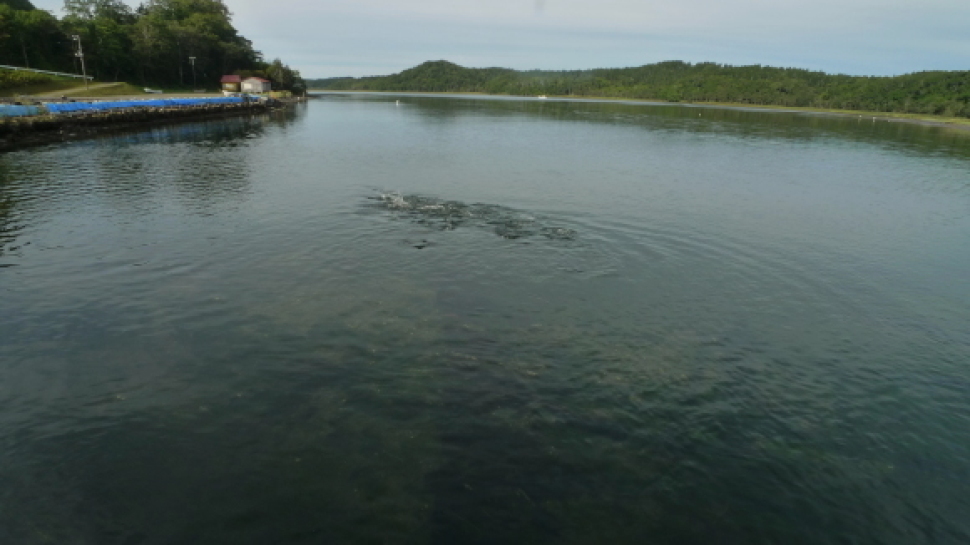 c0212083_17064952.jpg