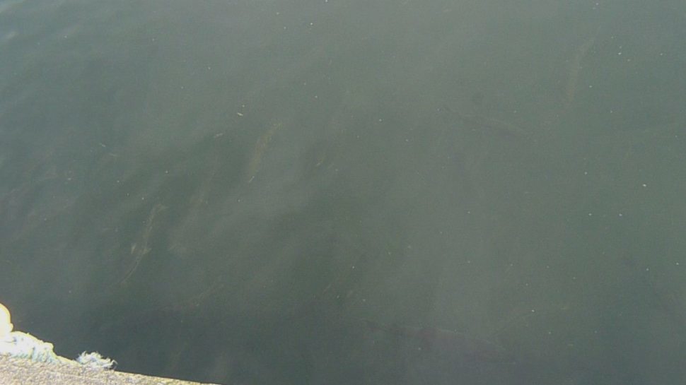 c0212083_17071585.jpg