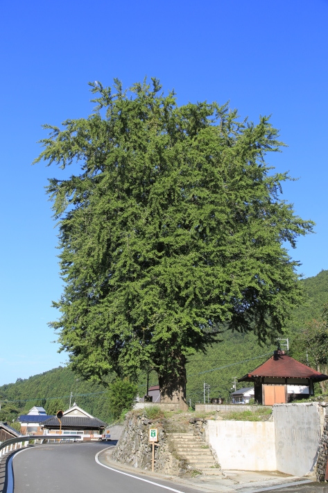 c0358784_21282524.jpg