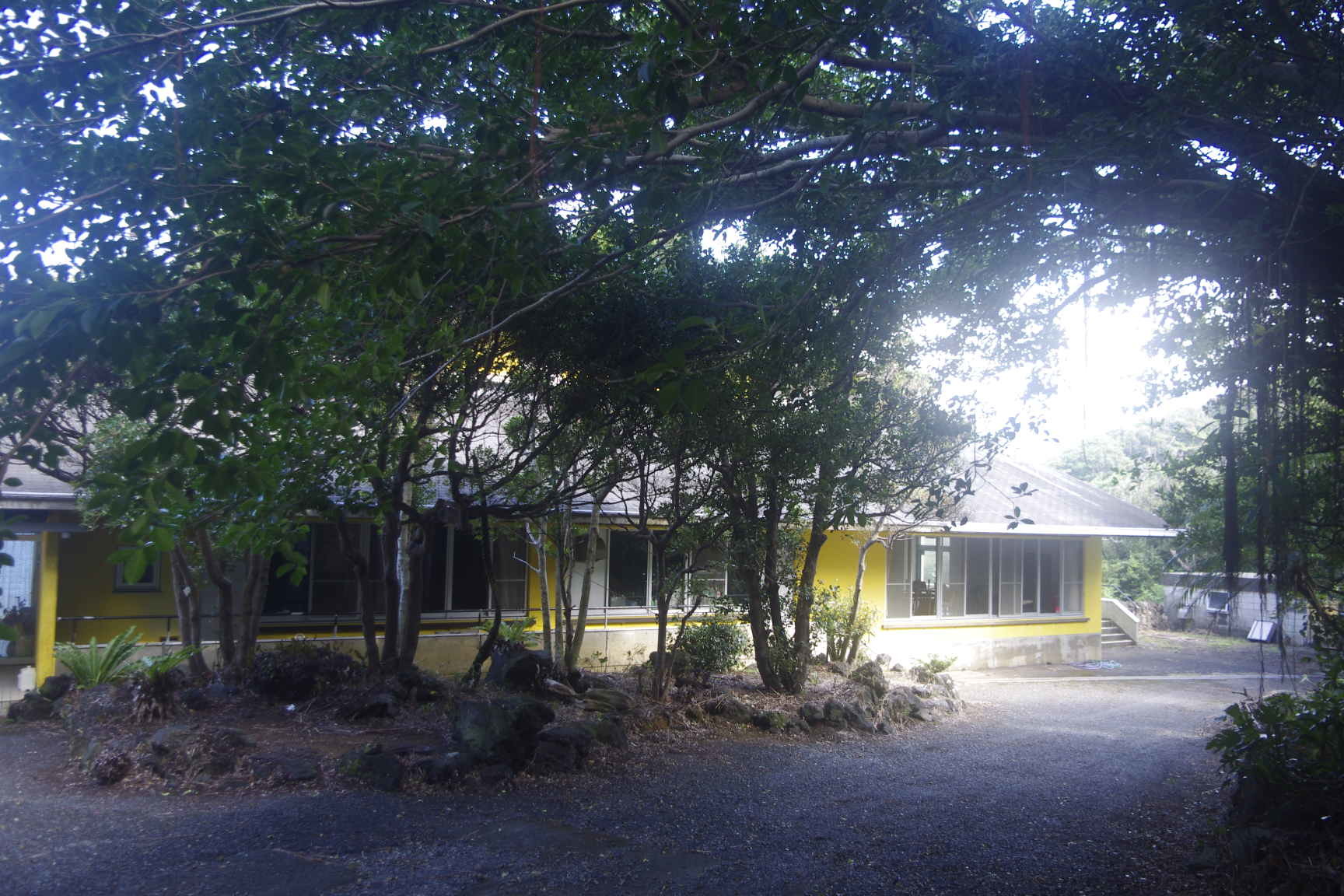八丈島不動産物件 (土地・建物)_f0095585_19194767.jpg