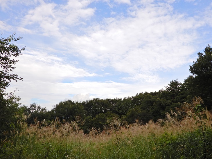 武川町F山さん邸の現場より 16_a0211886_17280083.jpg