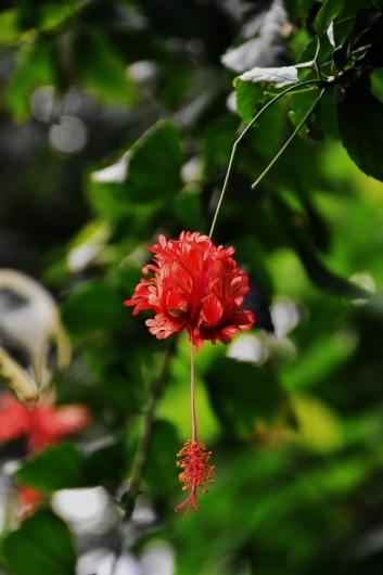 b0329186_07434590.jpg
