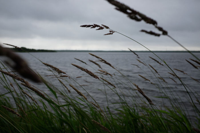 b0339488_05014545.jpg