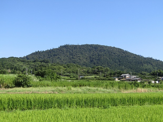 久延毘古の神・田の神・事代主命_e0354697_22465408.jpg