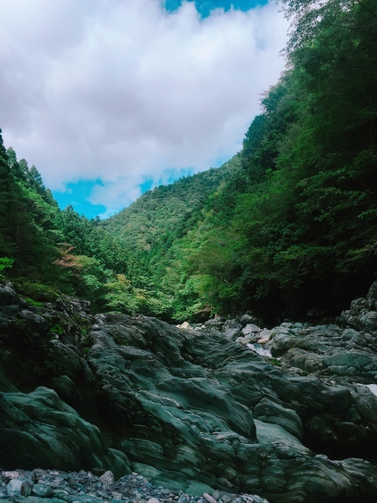 せとうちの旅・川から湿原へ_e0184598_13271869.jpg