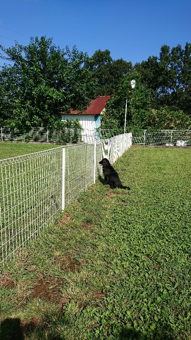 f0109202_20184037.jpg