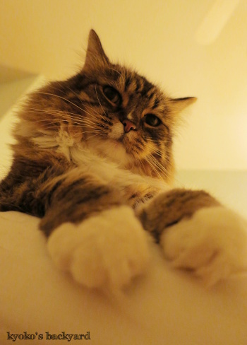 ちょっと確認させて_b0253205_12355657.jpg