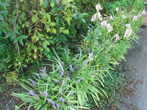 c0112206_23055864.jpg