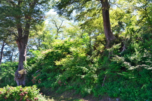 a0263109_19014073.jpg