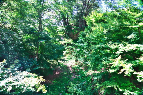 a0263109_19021388.jpg