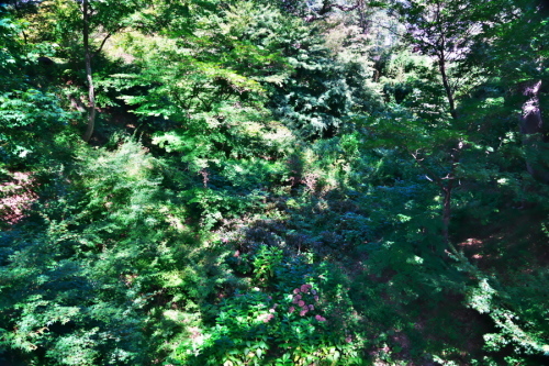 a0263109_19021437.jpg