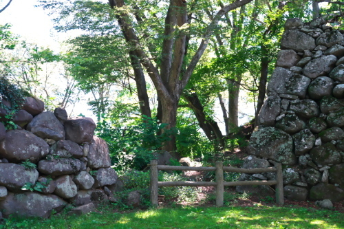 a0263109_19023339.jpg