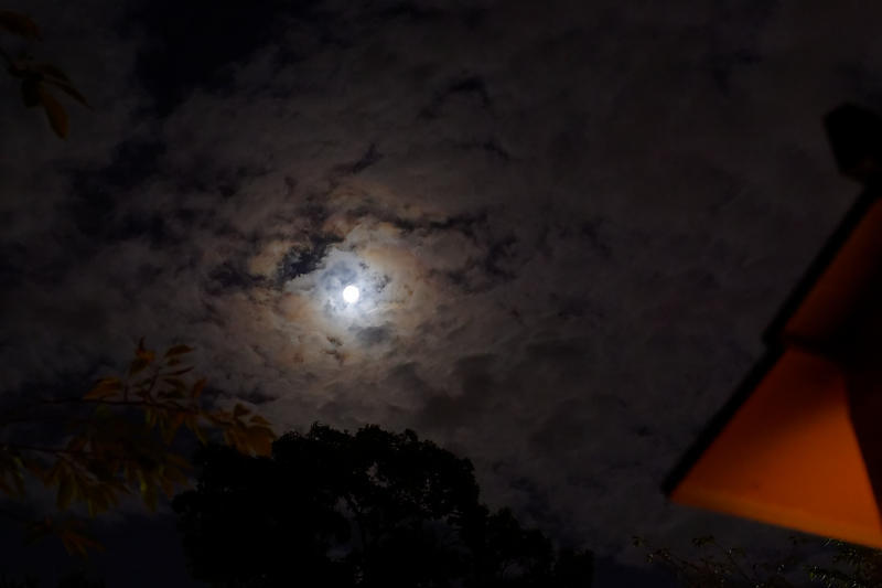 f0032011_17134903.jpg