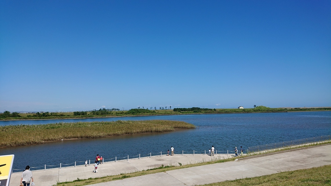 d0250123_21054810.jpg