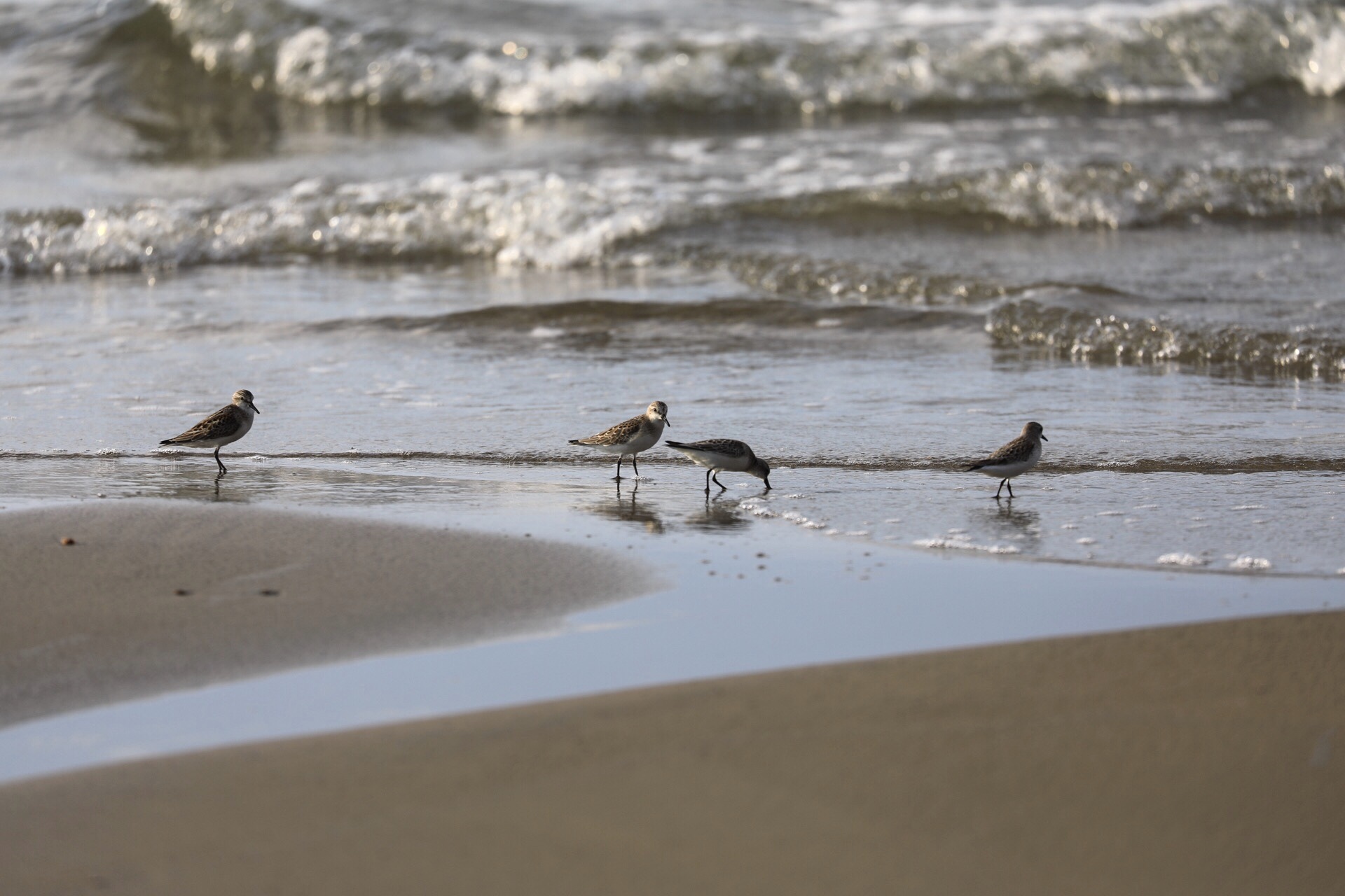 まゝに/能登半島 その3_d0342426_21164740.jpeg