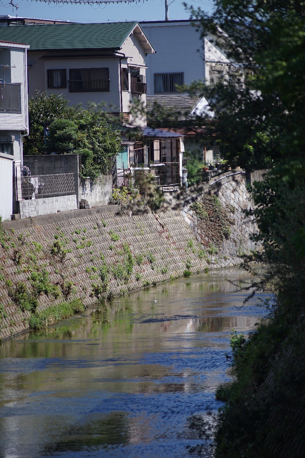 b0069128_10265326.jpg