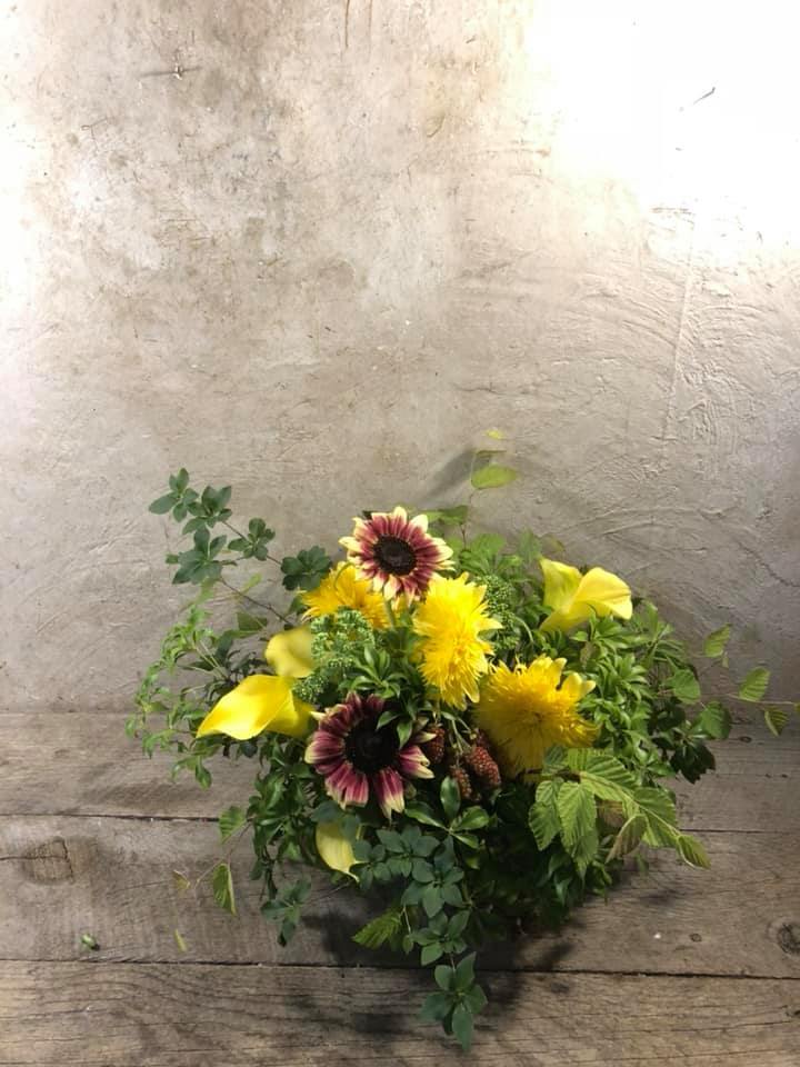いったいいつから・・_c0102228_08464760.jpg