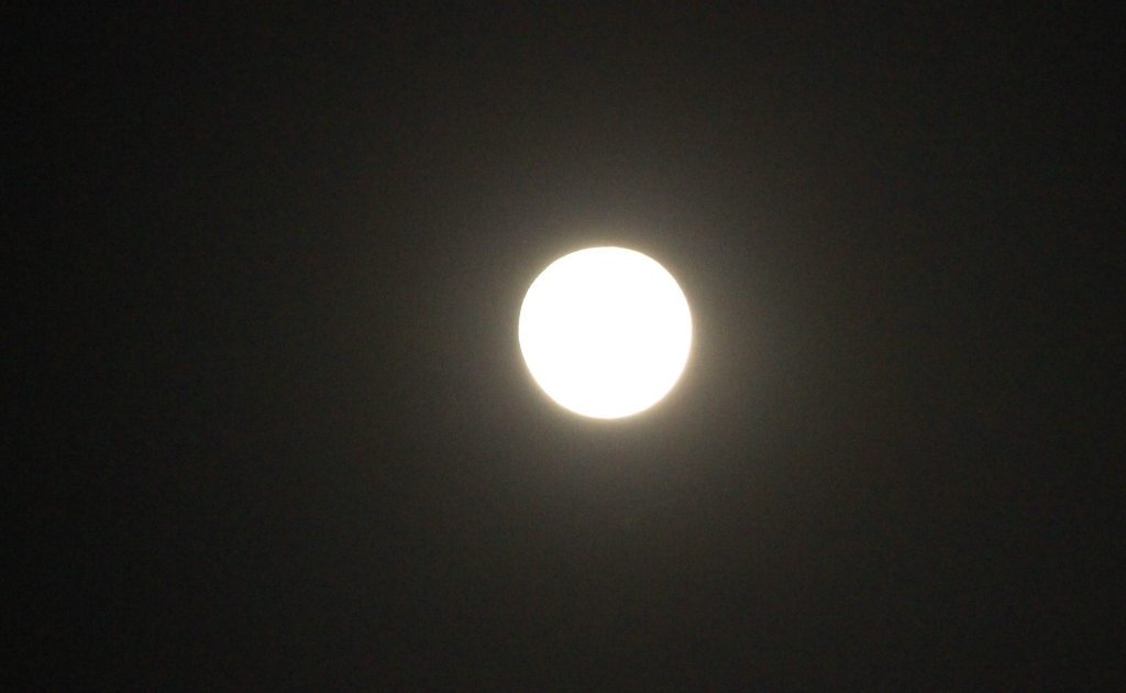 c0355331_09383275.jpg