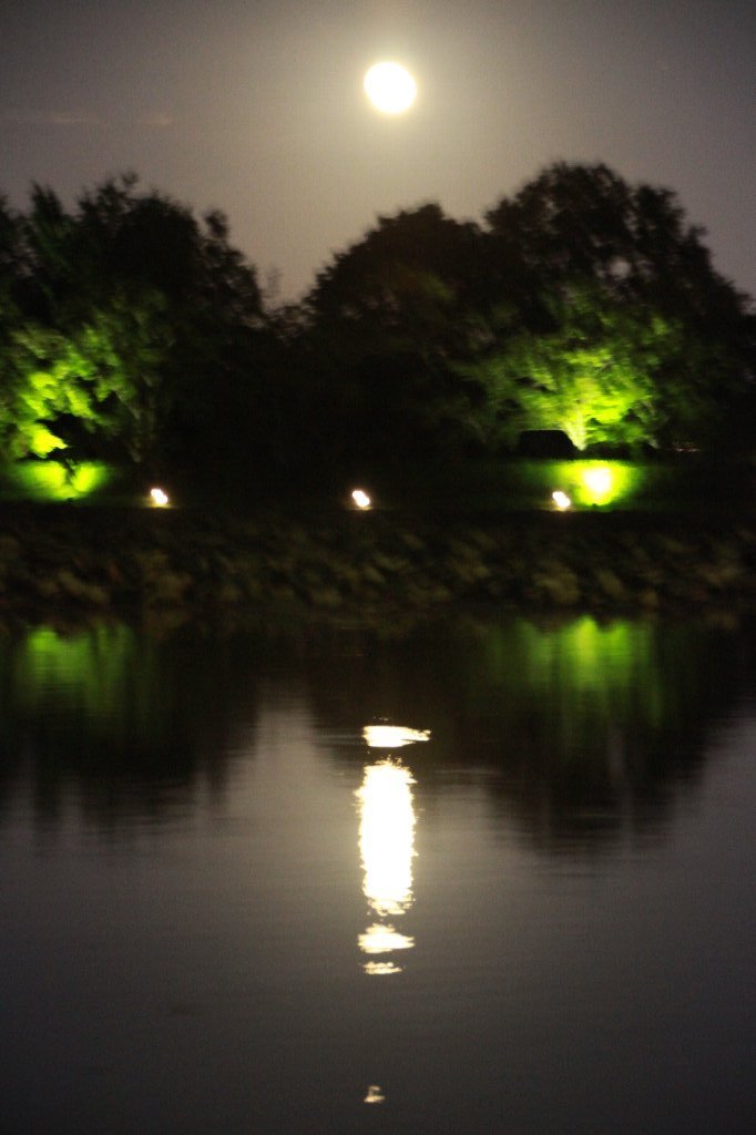 c0355331_09582771.jpg