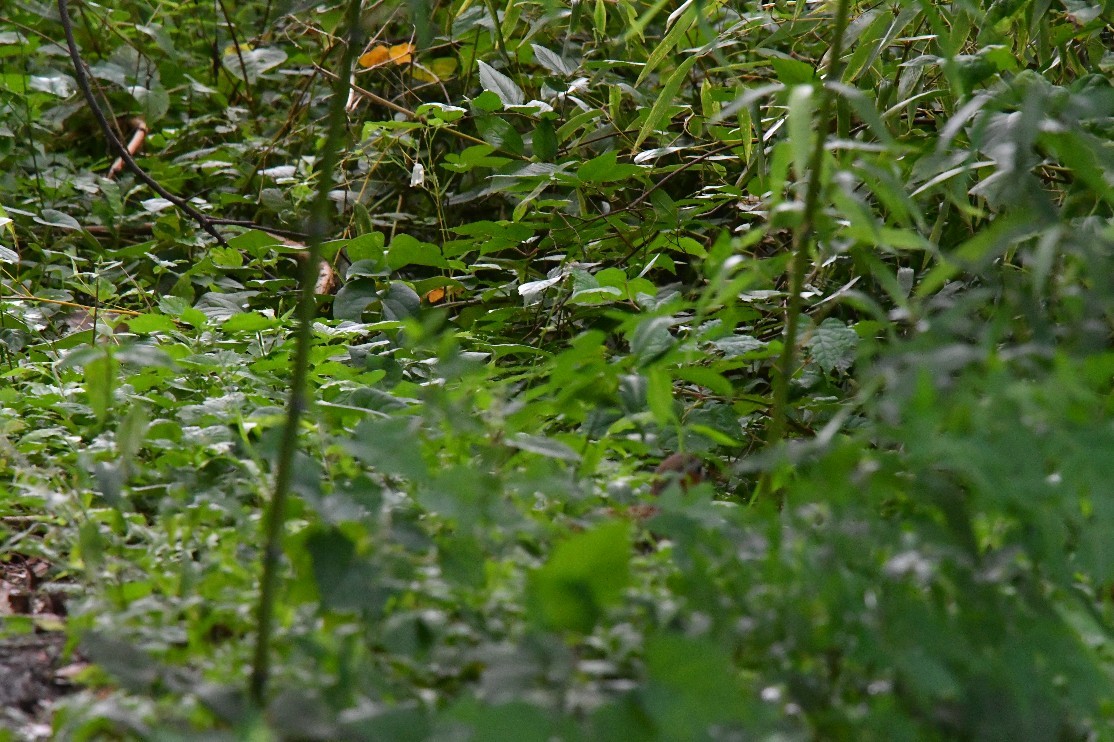 f0340732_17561911.jpg
