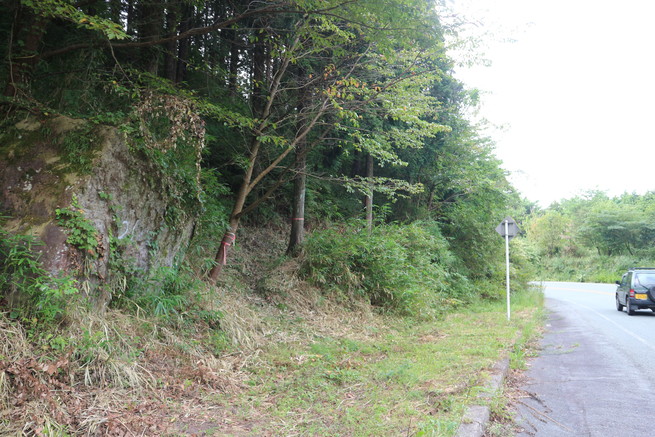 e0272335_459077.jpg