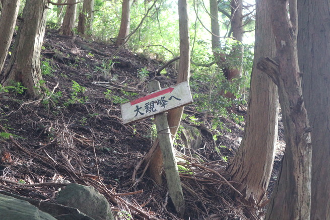 e0272335_5114458.jpg