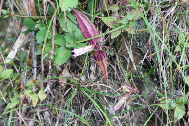 e0272335_5143033.jpg