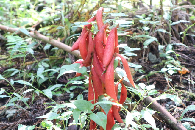e0272335_5484417.jpg