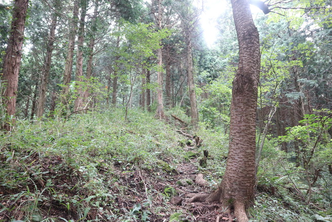 e0272335_551083.jpg