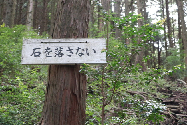 e0272335_57625.jpg