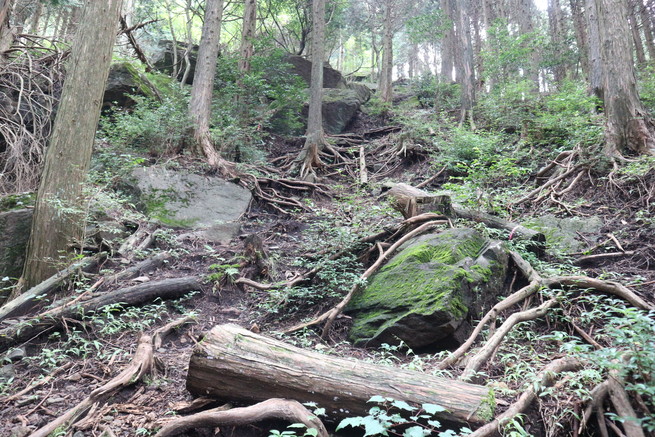 e0272335_584171.jpg