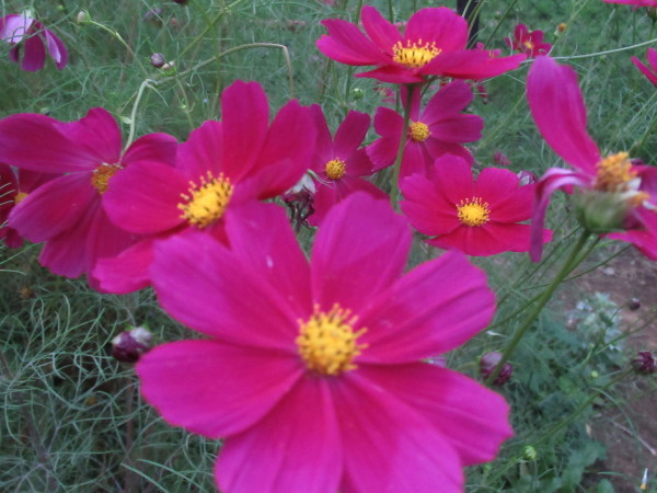 f0369840_15281063.jpg