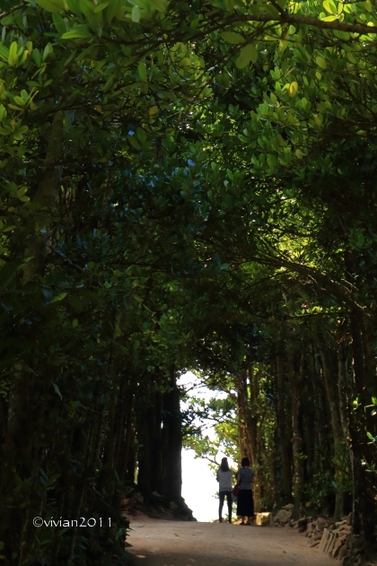 沖縄 おでかけ編 その1 ~恩納村から北方面へ~_e0227942_22380560.jpg